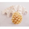 Bougie pomme de pin