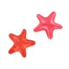 Perle de bain étoile senteur passion - 2 g